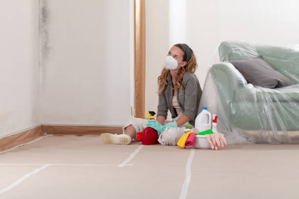Reliable Basement Mold Removal contractor in Helmetta, NJ by WQB Mold Removal